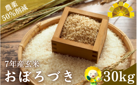 玄米 おぼろづき 新米 / 白米 玄米 ごはん こめ 北海道米 ※10月~順次発送 【kja400-obo-g30-R7】 249728 - 北海道北竜町