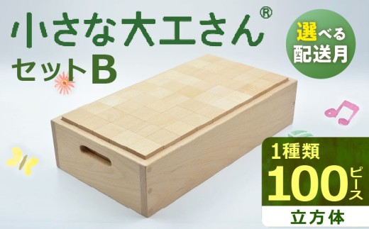 [ギフト対応OK!]小さな大工さんセットB_自然素材の積み木 積み木 小さな大工さん 選べる 配送月 成長期 知育 玩具 想像力 創造性 専用箱付き 遊び方 無限大 安心安全 無塗装 無着色 安定感 一体感 木遊び おもちゃ ドミノ 子ども 誕生日 プレゼント 出産祝い 福岡県 久留米市 送料無料_Sx202-sku
