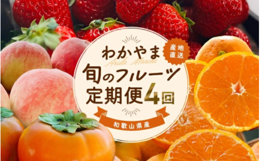 わかやま旬のフルーツ 定期便【L】全4回 ※北海道・沖縄・離島への配送不可 （配送日時指定不可） / ミカン 有田みかん まりひめ いちご 桃 フルーツ 果物 柿 和歌山【ard-tkb911】