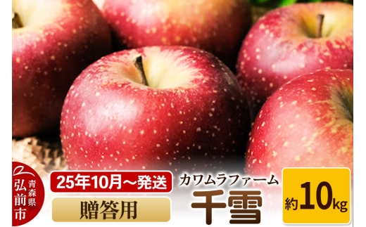 【25年10月～発送】りんご  千雪 約10kg カワムラファーム 贈答用【先行受付】 青森 果物 フルーツ 林檎 リンゴ くだもの 予約【レビューキャンペーン】