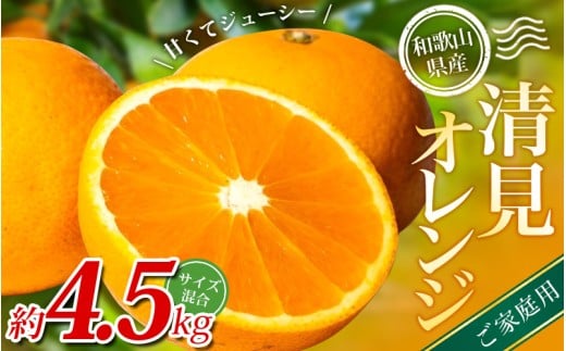 【ご家庭用】手選別 清見オレンジ 約4.5kg 和歌山県産 2S~2Lサイズ混合※2026年2月上旬～5月中旬頃に順次発送【mrmt022A】 2273549 - 和歌山県紀美野町
