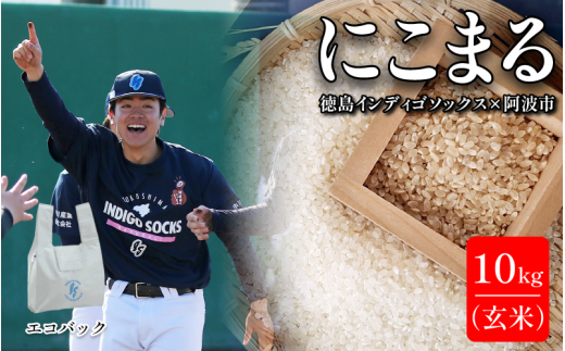  徳島 インディゴソックス グッズ エコバッグ セット お米 にこまる 10kg 玄米 野球 四国アイランドリーグ 徳島県 阿波市
