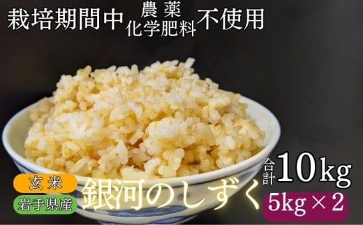 【 2025年 11月下旬より発送】 岩手県産 新米 銀河のしずく 玄米 10kg ／ 農薬 化学肥料 ：栽培期間中 不使用 武田家のお米【米農家 仁左ェ門】 米 こめ コメ ご飯 ライス おにぎり 弁当 単一原料米 ブランド米 ブランド 10キロ １０kg 産地直送 農家直送 国産 おすすめ 人気