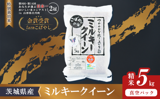 【 12月出荷 】令和7年産 新米 茨城県産 特別栽培米・ミルキークイーン 5kg  ( 真空パック )