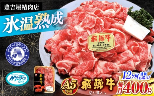 《12回定期便》 【A5等級】 飛騨牛 切り落とし(前バラ・肩ロース使用) 総計4.8kg 〈1回あたり〉400g 多治見市 / 豊吉屋精肉店 プロトン凍結 氷温(R)熟成 国産 ブランド牛 [THK003]