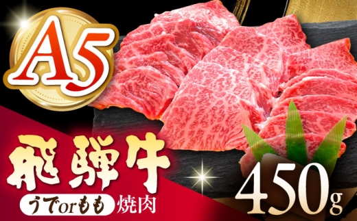 《冷蔵》 【A5等級】 飛騨牛 うでorもも 焼肉 450g 多治見市 / 肉の沖村 A5 牛肉 ギフト 贈り物 [THI017]
