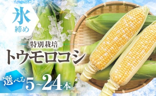 【先行予約】渥美半島産　寺田さんちのとうもろこし　バイカラー 10本～12本 約4kg とうもろこし デザート 農家直送 送料無料 朝採れ コーン 野菜 キャンプ BBQ バーベキュー おやつ 田原市 渥美半島 愛知県 夏 旬
