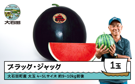 すいか 大玉 ブラックジャック 4〜5Lサイズ×1玉 2026年産 令和8年産 山形県産 大石田町産 8月上旬から順次発送 gt-subjx4 2200245 - 山形県大石田町