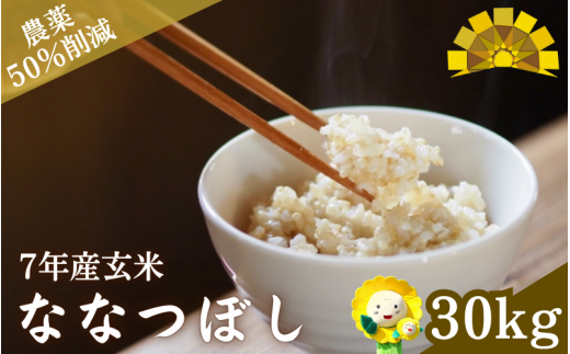 玄米 ななつぼし / ごはん こめ 米 お米 北海道 北海道米 【kja400-nana-g30-R7】 239776 - 北海道北竜町