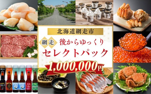 あとからゆっくり、網走セレクトパック 1,000,000円 【 ふるさと納税 人気 おすすめ ランキング あとから チョイス 選べる ゆっくり かに ほたて いくら しじみ ビール ズワイガニ タラバガニ オホーツク ギフト 贈り物 贈答 北海道 網走市 送料無料 】 ABBG011