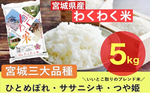 【ふるさと納税】宮城県産三大銘柄いいとこ取りブレンド米 わくわく米 5kg×1袋入 計5kg◆｜ お米 精米 白米 ひとめぼれ ササニシキ つや姫 宮城県産 三大銘柄【araseki001】