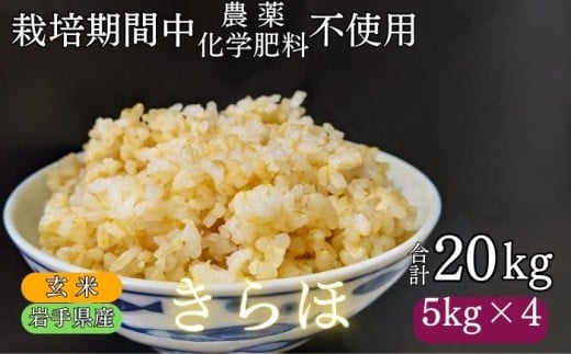 【 2025年 10月下旬より発送】 岩手県産 新米 きらほ 玄米 20kg ／ 農薬 化学肥料 ：栽培期間中 不使用 武田家のお米【米農家 仁左ェ門】 米 こめ コメ ご飯 ライス おにぎり 弁当 単一原料米 低アミロース米 希少 稀少 20キロ ２０kg 産地直送 農家直送 国産 おすすめ 人気