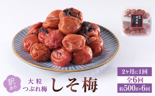訳あり 梅干し 大粒 大玉 つぶれ梅 しそ梅 約500g × 6回 塩分10％ [ 定期便 2か月に１回発送・全6回 ] 1966566 - 和歌山県和歌山市