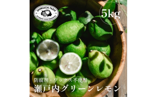 ＜皮ごと食べられる＞瀬戸内グリーンレモン 5kg 防腐剤・ワックス不使用＜D70-48＞【1550660】 1492756 - 愛媛県八幡浜市