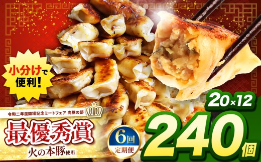 【 定期便6回 】 火の本豚餃子 （20個×12パック）240個入  | 熊本県 熊本 くまもと 和水町 なごみ 豚肉 火の本豚 地域ブランド ギョウザ ぎょうざ 20個 12パック 240個 冷凍餃子