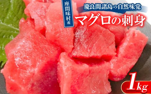 慶良間諸島の自然味覚 座間味村産のマグロの刺身 1kg(2～3柵)【1625436】