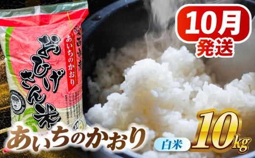 【10月発送】あいちのかおり 白米 10kg 愛西市 / 脇野コンバイン 米 お米 コメ [AECP002-1] 1454437 - 愛知県愛西市