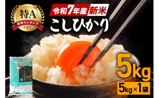 令和7年産 新米 コシヒカリ 米 5kg 白米 こめ こしひかり 国産 国産米 取り寄せ ごはん ご飯 コメ お取り寄せ お弁当 弁当 おにぎり 産地直送 特産  ギフト プレゼント 贈り物 茨城県 笠間市 いばらき