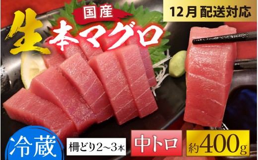【冷蔵・指定日着可】生本マグロ中トロ 約400g 3～4人前 [B-066006] / 国産 まぐろ 鮪 さく 柵どり 冷蔵 真空パック ヘルシー 4人前 3人前 新鮮 刺身 丼
