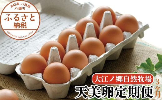 【3か月定期便】平飼い天美卵30個〈大江ノ郷自然牧場より直送〉