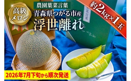高級 メロン『浮世離れ』1玉【2026年7月下旬から8月上旬まで順次発送】一度は食べてみたい！市場に出回らない｜青森県 青森産 津軽 つがる めろん メロン 果物 フルーツ 夏メロン 青森メロン [0893]