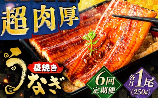 【全6回定期便】　国産うなぎの長焼き 鰻 たれ 肉厚 岐阜市 / 本格炭焼うな吉 [ANHH003]