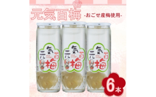 元気百梅　6本入り【1640856】