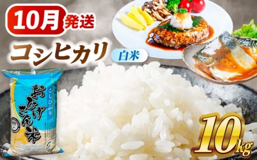 【10月発送】コシヒカリ 白米 10㎏ 愛西市 / 脇野コンバイン 米 お米 コメ [AECP022-2] 1455241 - 愛知県愛西市