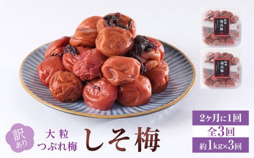 訳あり 梅干し 大粒 大玉 つぶれ梅 しそ梅 約1kg (500g×2)  × 3回 塩分10% [ 定期便 2か月に１回発送・全3回 ] 1966573 - 和歌山県和歌山市