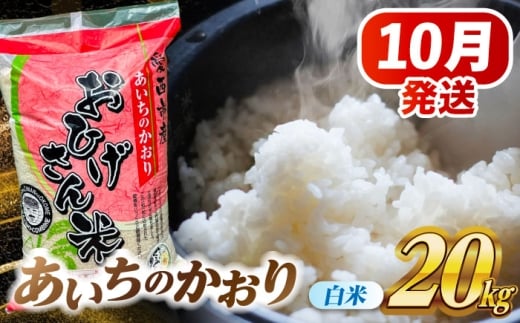【10月発送】あいちのかおり 白米 20kg 愛西市 / 脇野コンバイン  米 お米 コメ [AECP003-1]