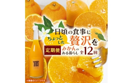 ＜発送月固定定期便＞みかんのある暮らし全12回＜H31-33＞_ 蜜柑 ミカン 柑橘類 柑橘 フルーツ 果物 くだもの 人気 美味しい 愛媛県 八幡浜市 ふるさと 【4000707】