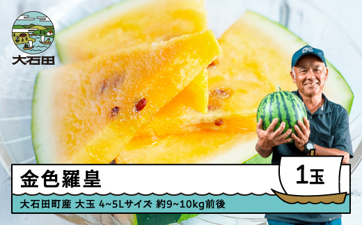 すいか 大玉 金色羅皇 4〜5Lサイズ×1玉 2026年産 令和8年産 山形県産 大石田町産 8月上旬から順次発送 gt-sukrx4 2200251 - 山形県大石田町