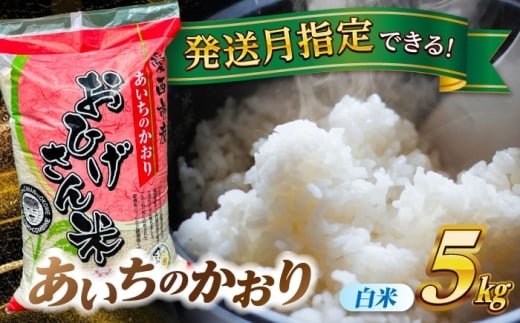 【選べる発送月】あいちのかおり 白米 5kg  愛西市 / 脇野コンバイン 米 お米 コメ [AECP001]