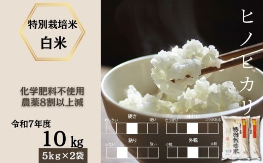 ＜令和7年産新米 先行予約受付中・令和7年11月上旬以降順次発送＞佐賀県産特別栽培米ヒノヒカリ 白米10㎏（化学肥料不使用・農薬8割以上減）［A0212-0008］ 2297120 - 佐賀県佐賀県庁