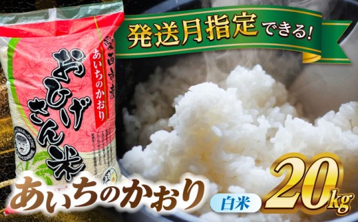 【選べる発送月】あいちのかおり 白米 20kg 愛西市 / 脇野コンバイン 米 お米 コメ [AECP003]
