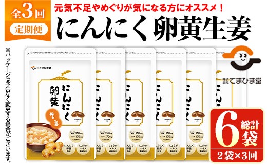 No.1285-A [定期便・全3回(隔月)]てまひま にんにく卵黄生姜(62粒入・2袋×3回 計6袋) 鹿児島 日置市 ニンニク 健康食品 栄養 元気 カプセル 安全安心 生姜 サプリ 定期便 頒布会[てまひま堂][1285][1293]