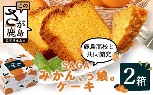 【鹿島高校 共同開発返礼品】SAGAみかん、っ娘。ケーキ 2箱（合計8個入り）A-219 スイーツ ケーキ 焼き菓子 焼菓子 みかん ミカン 蜜柑 みかんケーキ ミカンケーキ お土産 ご当地スイーツ プレゼント ギフト おみやげ