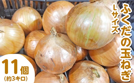 ふくだの玉ねぎ Lサイズ 11個（約3kg） ※北海道・沖縄・離島への配送不可 ※2026年1月中順～1月下旬頃より順次発送予定