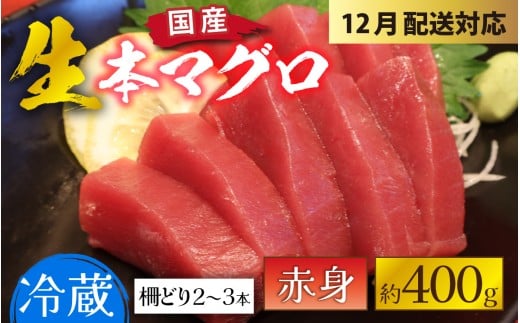 【冷蔵・指定日着可】生本マグロ赤身 約400g 3～4人前 [A-066004] / 国産 まぐろ 鮪 さく 柵どり 冷蔵 真空パック ヘルシー 4人前 3人前 新鮮 刺身 丼