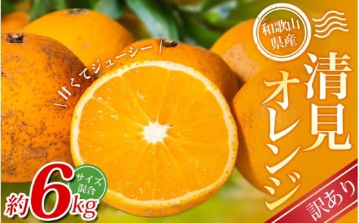 【訳あり】手選別 清見オレンジ 約6kg 和歌山県産 2S~2Lサイズ混合※2026年2月上旬～5月中旬頃に順次発送【mrmt024A】