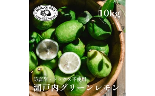 ＜皮ごと食べられる＞瀬戸内グリーンレモン 10kg 防腐剤・ワックス不使用＜H70-49＞【1550663】