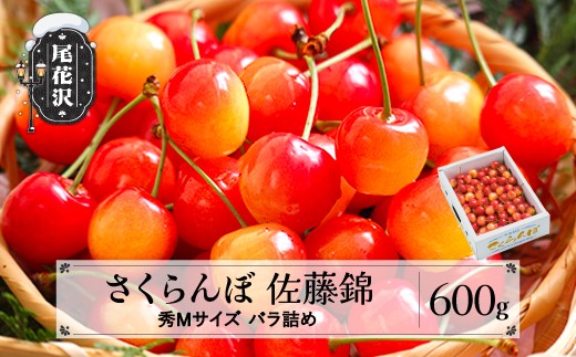 先行予約 2026年産 さくらんぼ 佐藤錦 秀Mサイズ 600g 1箱 バラ詰め 令和8年産 山形県産 ns-snsmb600 2214295 - 山形県尾花沢市