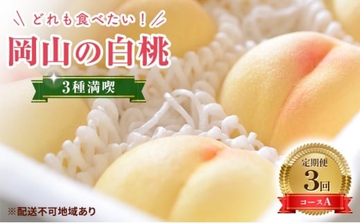 [ 2026年 先行予約] 桃 岡山県産 どれも食べたい!岡山の桃 3種 満喫 プラン 3回 コースA ( 日川白鳳 ・ 白鳳 ・ 白皇 各1.5kg)[2026年6月上旬-8月下旬頃出荷]白桃 数量限定 期間限定 定期便