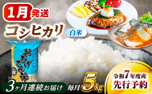 【3回定期便】  【1月発送開始】   コシヒカリ 白米 5kg×3回 愛西市 / 脇野コンバイン 米 お米 コメ [AECP024-1]