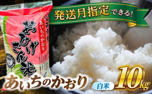 【選べる発送月】あいちのかおり 白米 10kg 愛西市 / 脇野コンバイン 米 お米 コメ [AECP002]