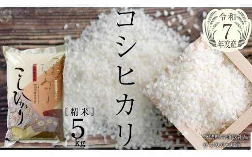  ＼ 11月出荷 新米／【令和7年産】コシヒカリ 精米5kg（5kg×1袋）（茨城県共通返礼品 かすみがうら市産） [EX010sa-11]