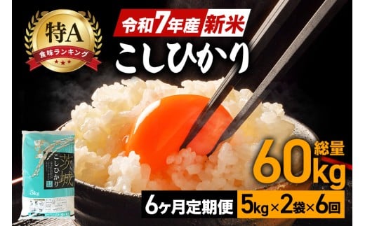 【6ヶ月定期便】令和7年産 新米 コシヒカリ 米 10kg (5kg×2袋) 計60kg 白米 こめ こしひかり 国産 国産米 取り寄せ ごはん ご飯 コメ お取り寄せ お弁当 弁当 おにぎり 産地直送 特産  ギフト プレゼント 贈り物 茨城県 笠間市 いばらき