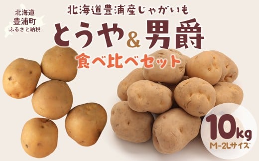 【先行予約】北海道豊浦産 じゃがいも とうや 男爵 食べ比べセット 10kg M-2Lサイズ（2025年9月中旬より順次発送） 【 ふるさと納税 人気 おすすめ ランキング 野菜 いも 芋 じゃがいも じゃが芋 ジャガイモ とうや 男爵 ポテト じゃがバター 国産 北海道産 北海道 豊浦町 送料無料 】 TYUB010
