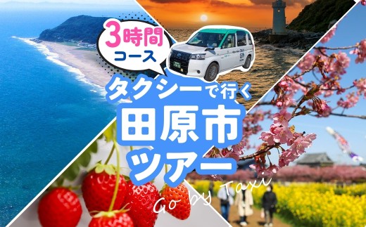 中型タクシーで田原市観光プラン 選べる 3時間 5時間 コース 観光 旅行 タクシー いちご狩り 岬 灯台 菜の花 菜の花祭り 田原市 渥美半島 愛知県 2278002 - 愛知県田原市