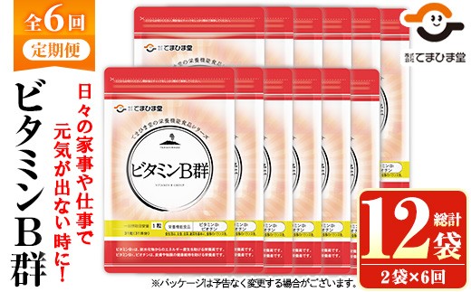 No.1300-B ＜定期便・全6回(隔月)＞ビタミンB群(2袋×6回・計12袋) 鹿児島 日置市 健康食品 サプリ 栄養バランス 食生活 安心安全 ビタミン 定期便 頒布会 【てまひま堂】【1031】【1299】